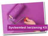 Systeemtest